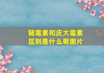 链霉素和庆大霉素区别是什么呢图片