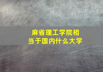 麻省理工学院相当于国内什么大学