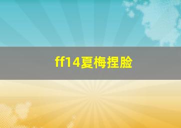 ff14夏梅捏脸