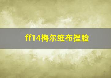 ff14梅尔维布捏脸