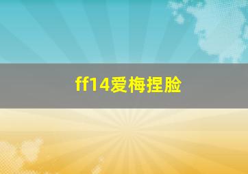 ff14爱梅捏脸