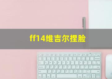 ff14维吉尔捏脸