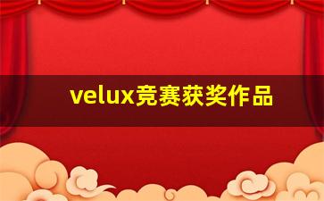 velux竞赛获奖作品