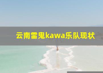 云南雷鬼kawa乐队现状