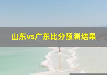 山东vs广东比分预测结果