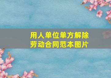 用人单位单方解除劳动合同范本图片