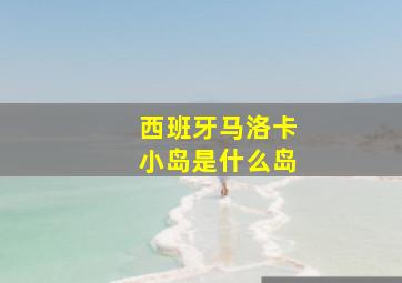 西班牙马洛卡小岛是什么岛